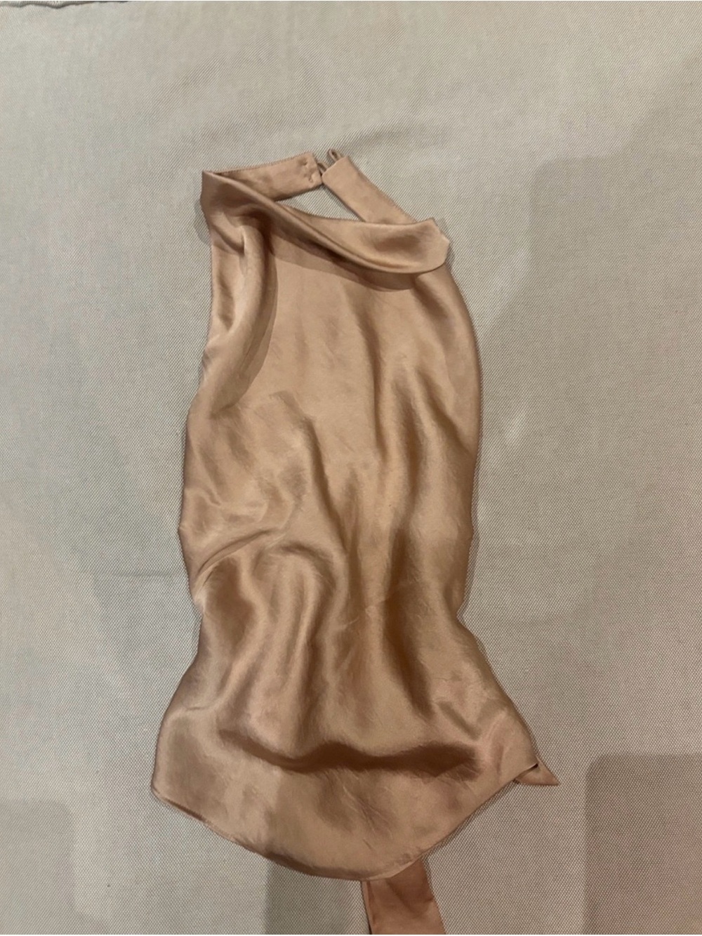 Aritzia Halter Satin Top with ties in the back. Size XXS never been worn. 💗